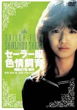 山海邮差海报