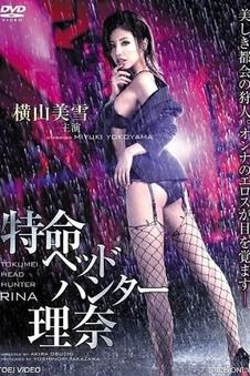 边境来客海报